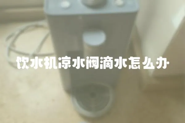 飲水機涼水閥滴水怎么辦