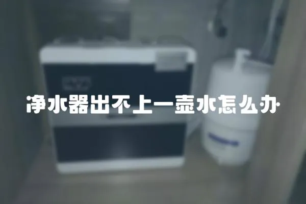 凈水器出不上一壺水怎么辦