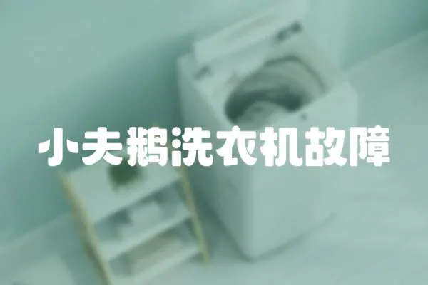 小夫鵝洗衣機故障