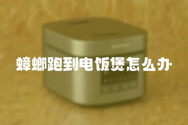蟑螂跑到電飯煲怎么辦