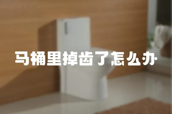 馬桶里掉齒了怎么辦