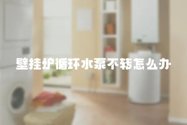 壁掛爐循環水泵不轉怎么辦