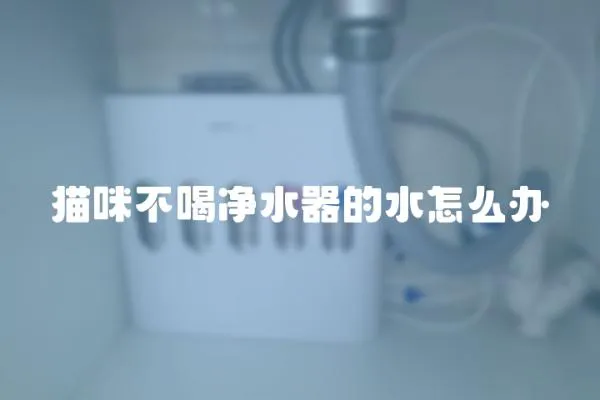 貓咪不喝凈水器的水怎么辦
