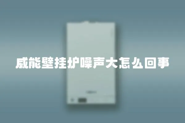 威能壁掛爐噪聲大怎么回事