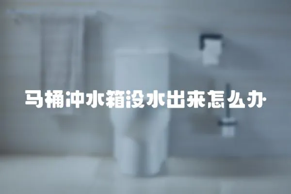 馬桶沖水箱沒水出來怎么辦