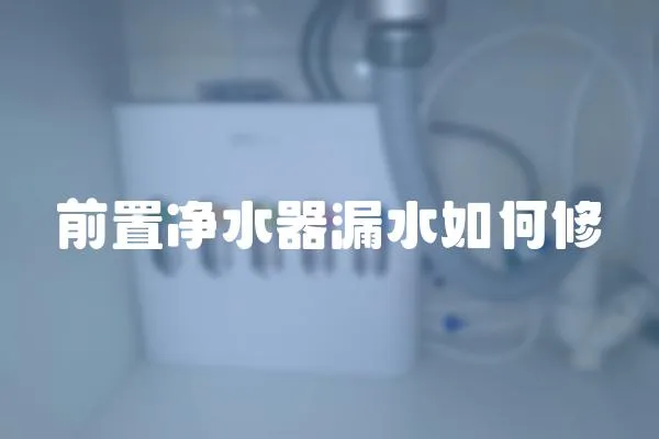前置凈水器漏水如何修