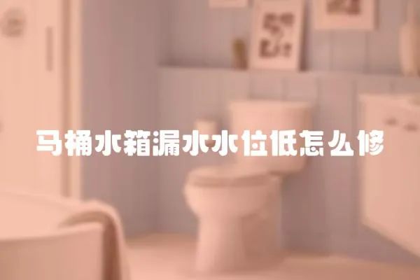 馬桶水箱漏水水位低怎么修