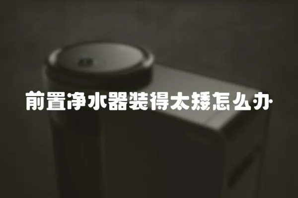 前置凈水器裝得太矮怎么辦