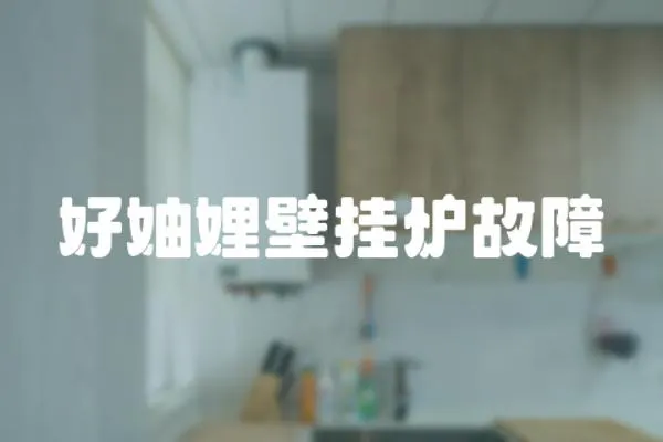 好妯娌壁掛爐故障