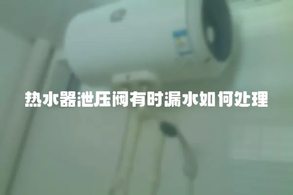 热水器泄压阀有时漏水如何处理