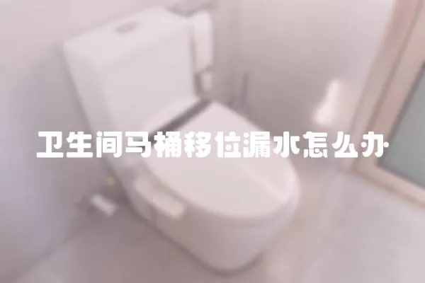 衛(wèi)生間馬桶移位漏水怎么辦