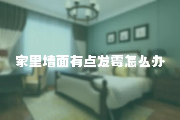 家里墻面有點(diǎn)發(fā)霉怎么辦