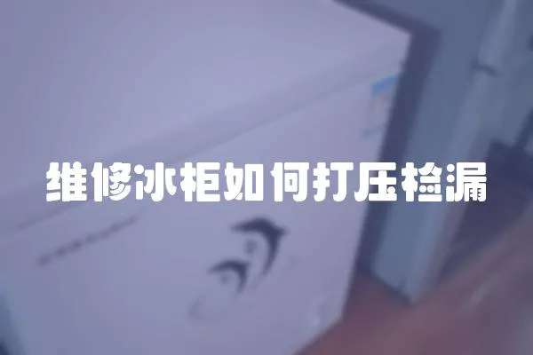 维修冰柜如何打压检漏