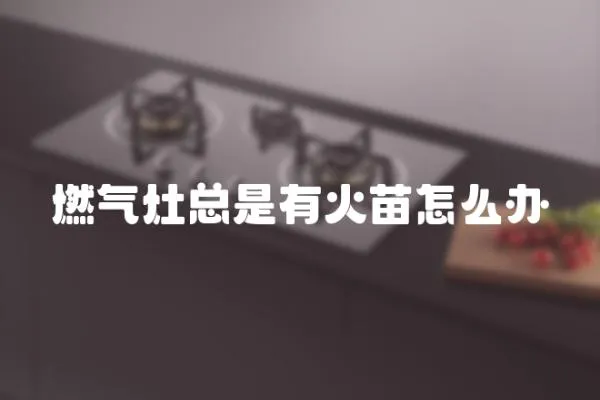 燃氣灶總是有火苗怎么辦
