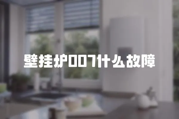壁掛爐007什么故障
