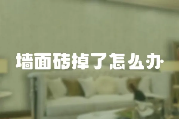 墻面磚掉了怎么辦