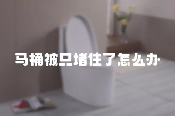 馬桶被只堵住了怎么辦