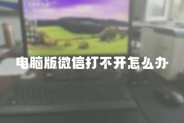 電腦版微信打不開怎么辦