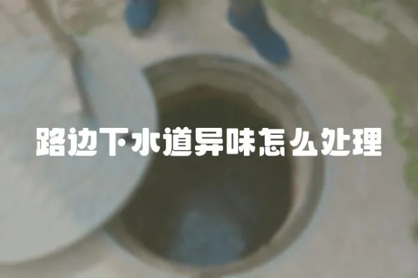 路邊下水道異味怎么處理