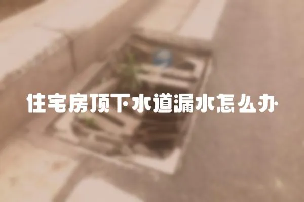 住宅房顶下水道漏水怎么办