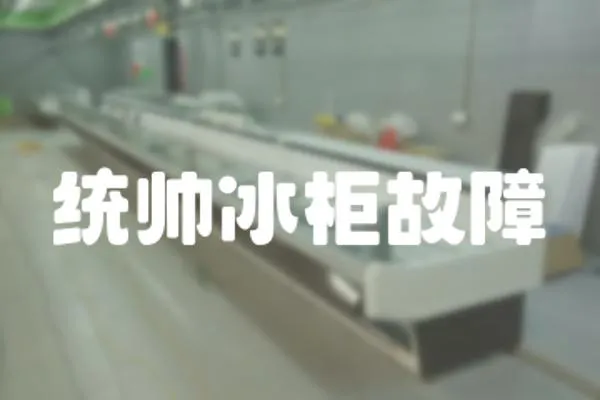 統帥冰柜故障