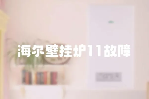 海爾壁掛爐11故障