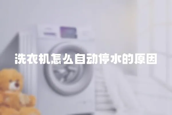 洗衣機怎么自動停水的原因