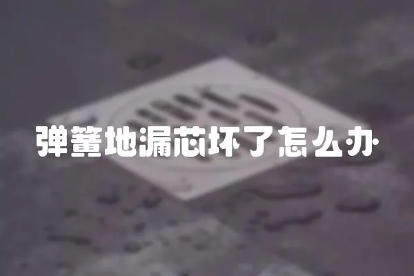 彈簧地漏芯壞了怎么辦