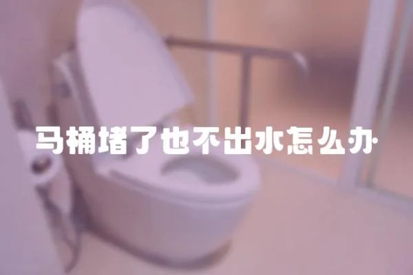 馬桶堵了也不出水怎么辦