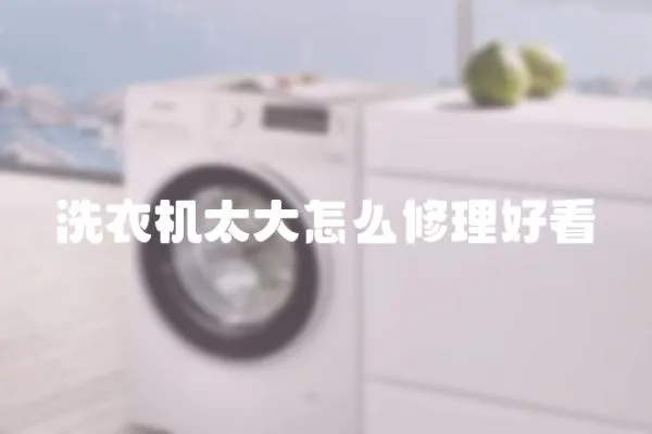 洗衣機(jī)太大怎么修理好看