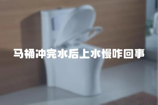 馬桶沖完水后上水慢咋回事