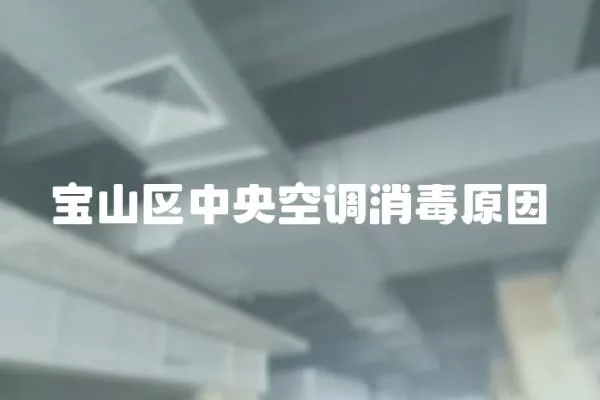 寶山區中央空調消毒原因