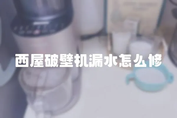 西屋破壁機(jī)漏水怎么修