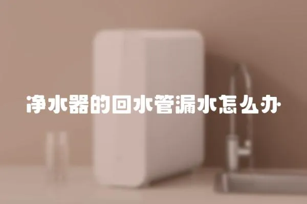 凈水器的回水管漏水怎么辦