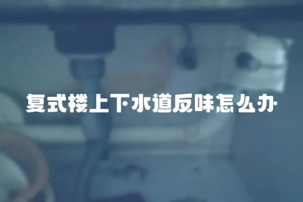 復式樓上下水道反味怎么辦