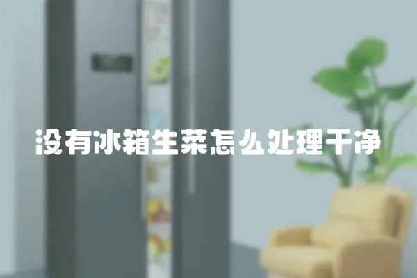 没有冰箱生菜怎么处理干净