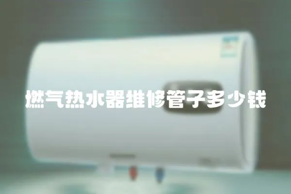 燃?xì)鉄崴骶S修管子多少錢