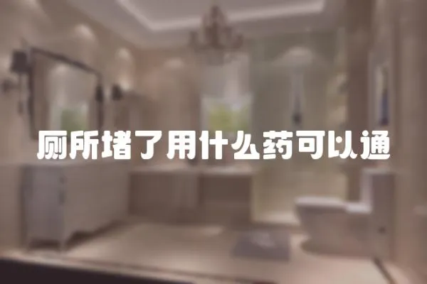 廁所堵了用什么藥可以通