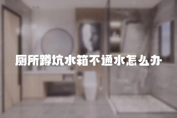 廁所蹲坑水箱不通水怎么辦