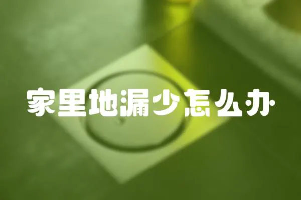 家里地漏少怎么辦