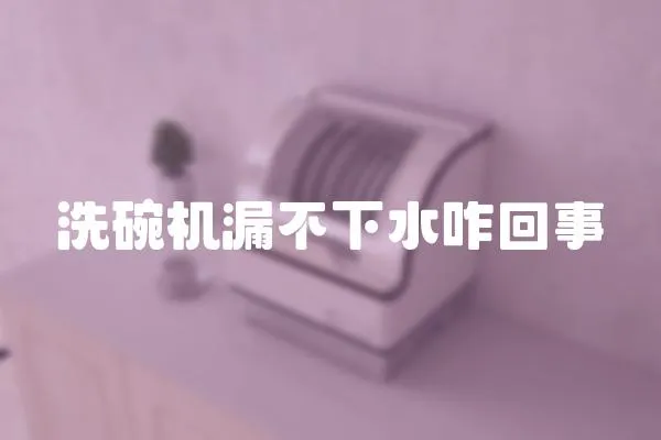 洗碗機漏不下水咋回事
