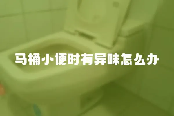 馬桶小便時有異味怎么辦