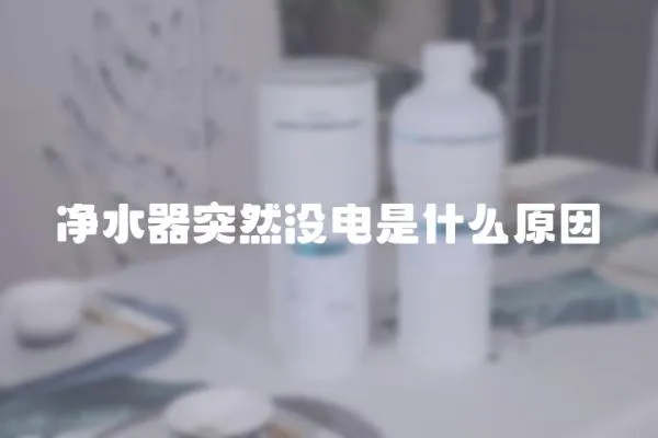 凈水器突然沒電是什么原因