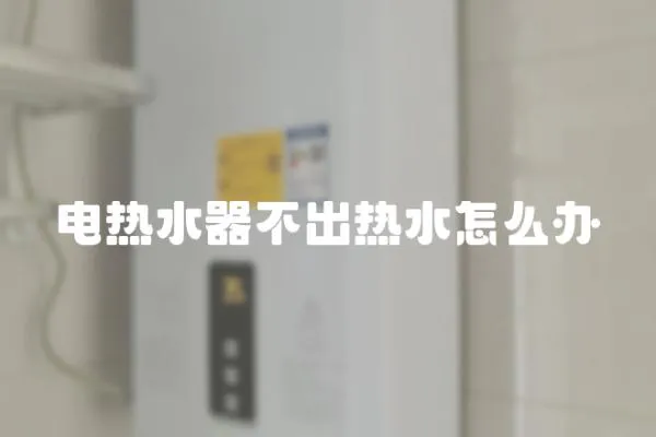 電熱水器不出熱水怎么辦