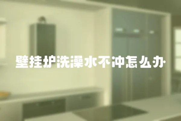 壁掛爐洗澡水不沖怎么辦