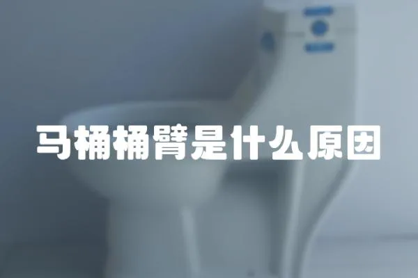 馬桶桶臂是什么原因