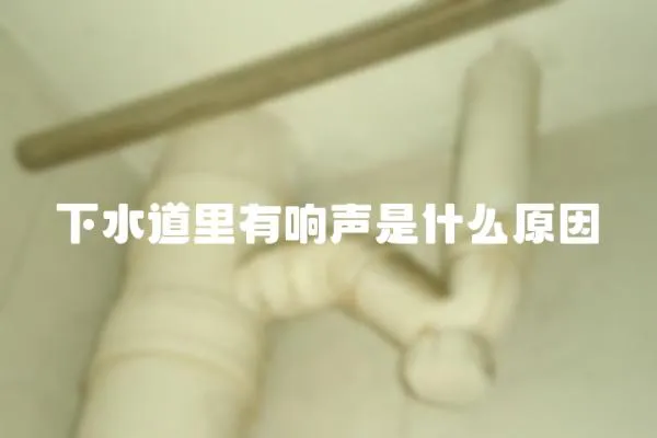 下水道里有響聲是什么原因