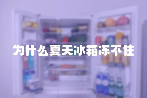 為什么夏天冰箱凍不住