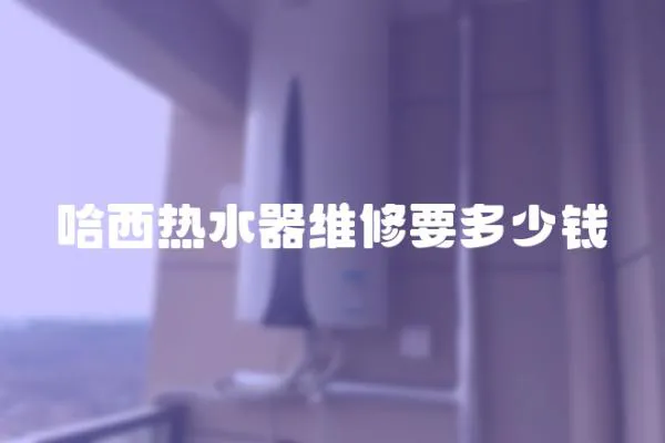 哈西熱水器維修要多少錢