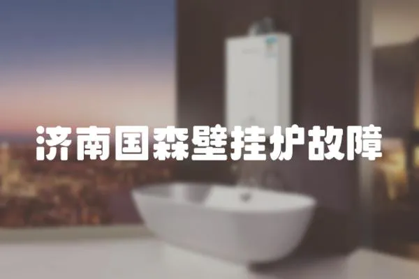 濟(jì)南國(guó)森壁掛爐故障